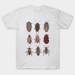 Cockroach pattern T-Shirt